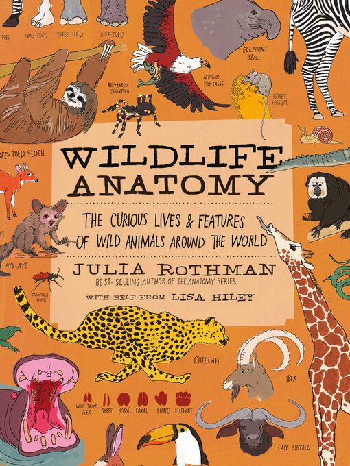 Title details for Wildlife Anatomy by Julia Rothman - Available